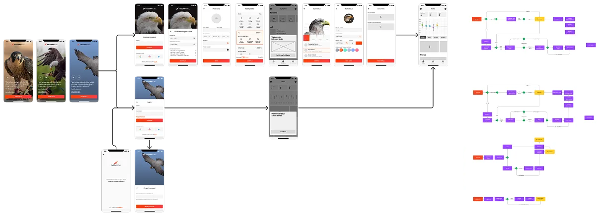 Research project - Falcon analysis
