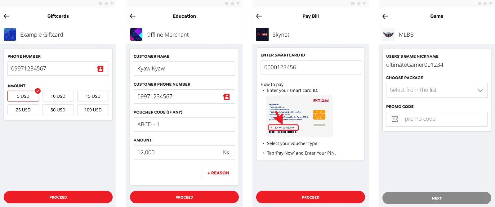 Standardized merchant and biller onboarding templates